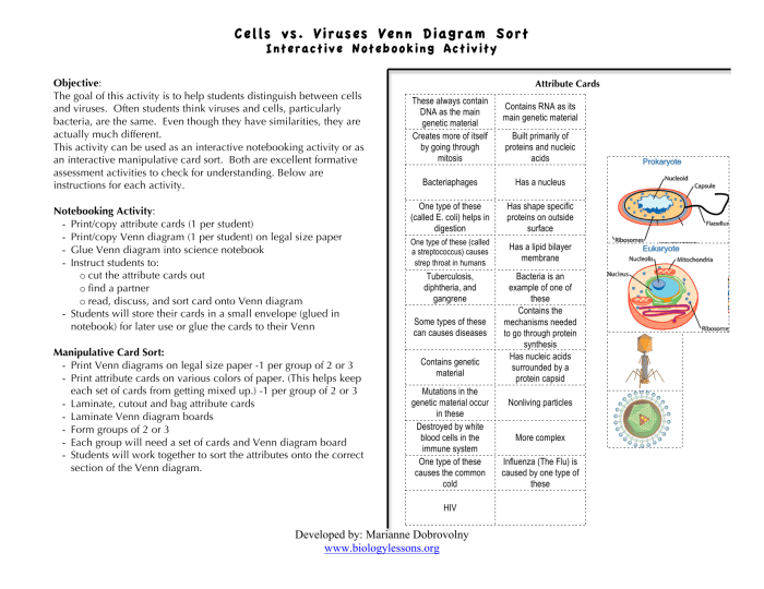 Bacteria venn viruses