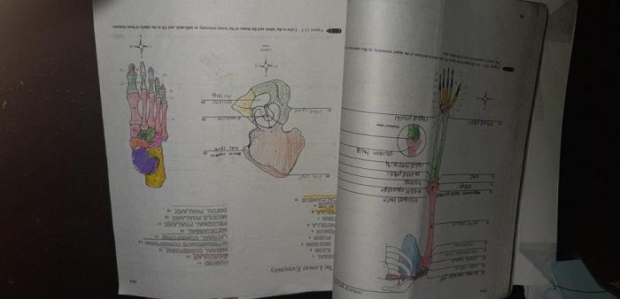 Biology lab manual 13th edition