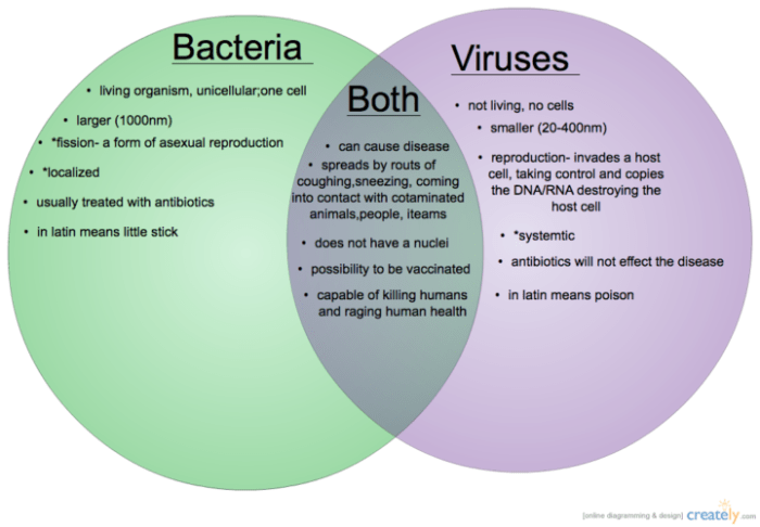 Venn diagram prokaryotes eukaryotes viruses prokaryote eukaryote 7th photosynthesis diagramweb respiration cellular biology microbiology intp bacteria