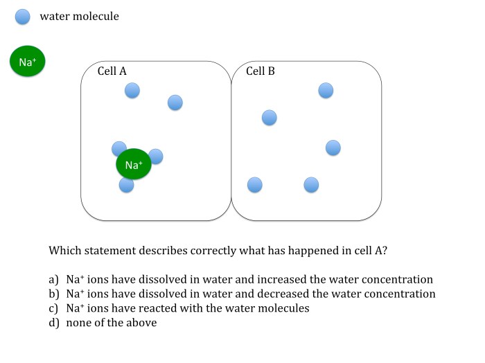 Osmosis and diffusion test questions