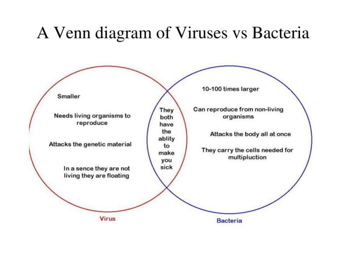 Venn diagram of virus and bacteria