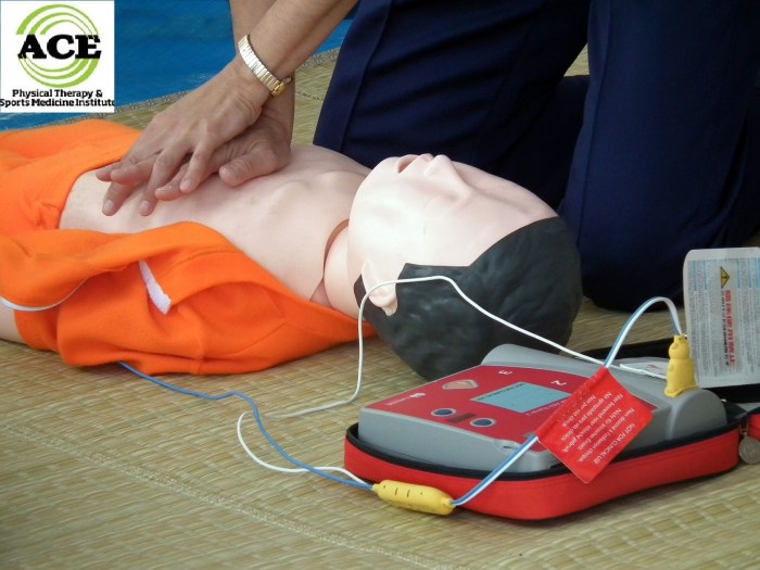 Cpr aed for the professional rescuer