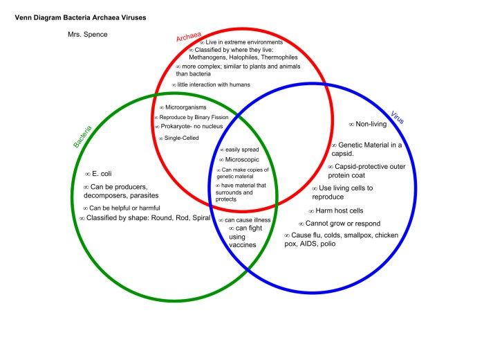 Cells vs viruses venn diagram