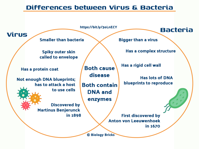 Bacteria venn viruses difference