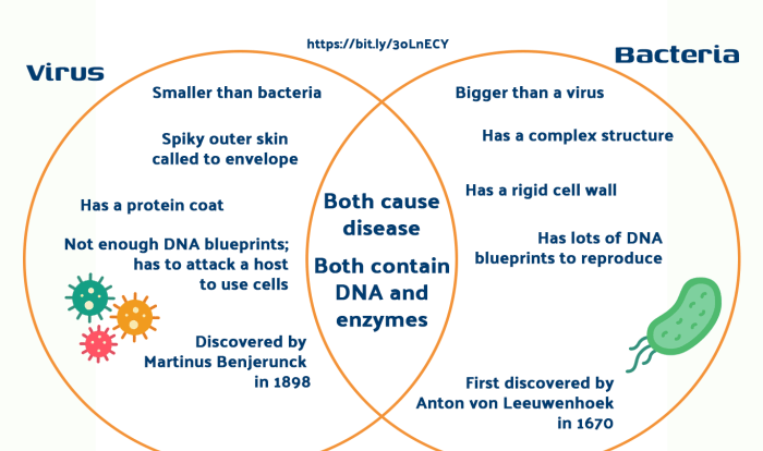 Cells vs viruses venn diagram