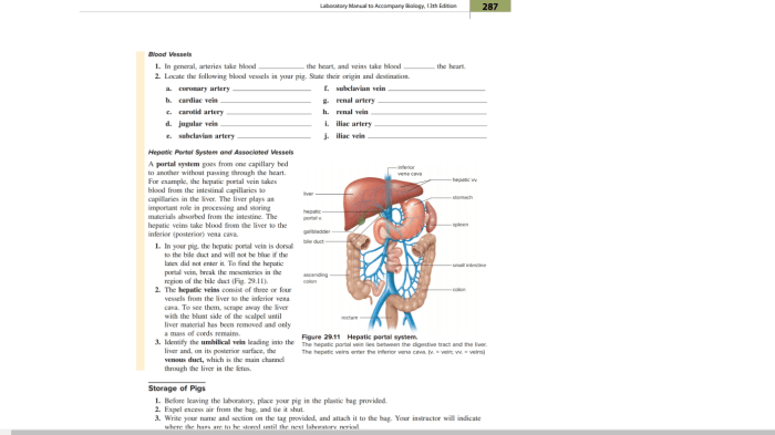 Biology concepts lab manual edition 2nd solutions edit