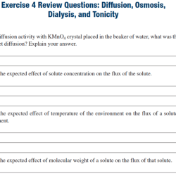 Osmosis diffusion practice answer questions learned words following based ve own