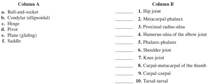 Match the synovial joint categories in column b