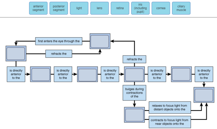 Concept map the pathway of light through the eye