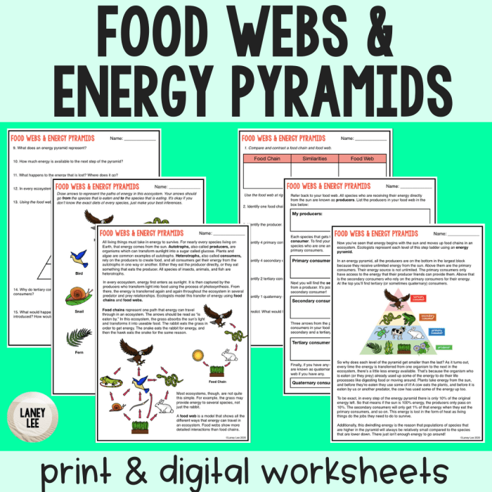 Guided reading webs pyramids