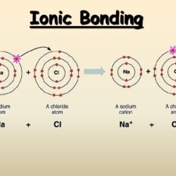 Ionic bonding biology covalent bonds differences h2o anions cations valeri chloride repulsive weak electrons ions