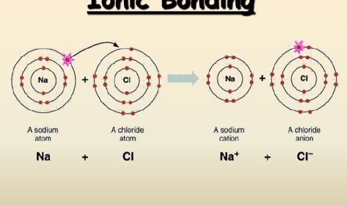 Ionic bonding biology covalent bonds differences h2o anions cations valeri chloride repulsive weak electrons ions