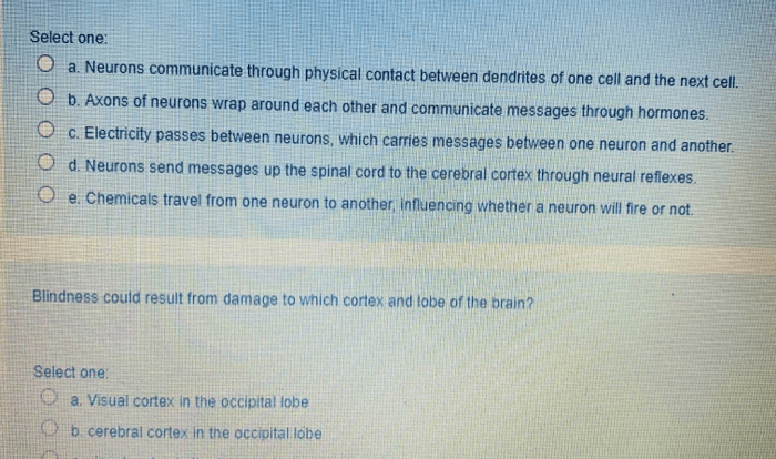 Which sentence most accurately describes a feature of elizabethan drama